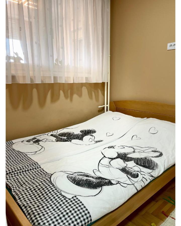 Ferienwohnung Apartman Jelena Sremska Mitrovica Exterior foto